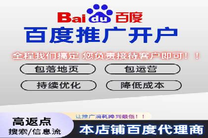 百度推广案例：低成本高回报的精准营销策略